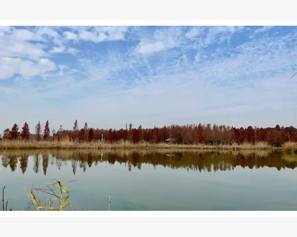 养脾胃,从多吃什么开始