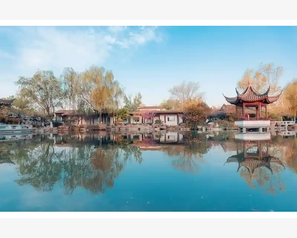五指毛桃煲汤健脾胃：搭配食材推荐与功效解析