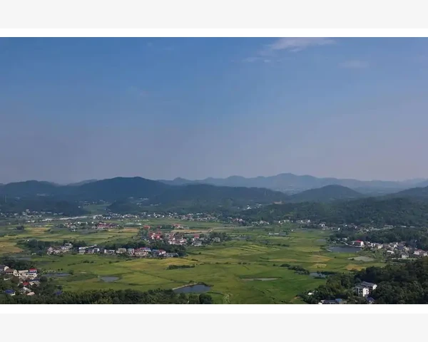 儿童脾胃问题知多少？