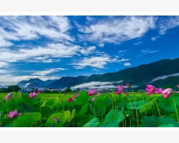 吃驱寒中药保护身体,抑制出汗的医生建议
